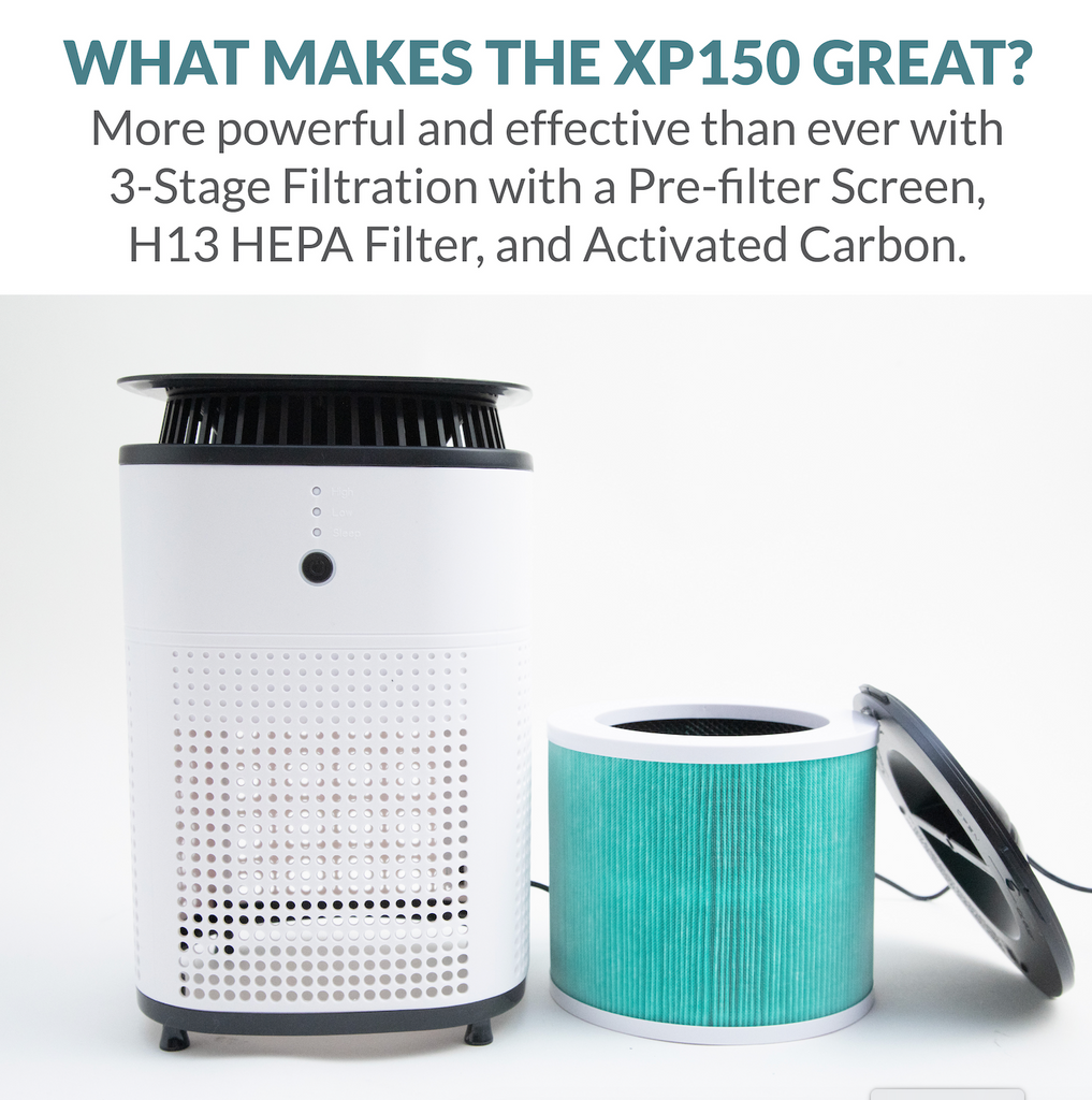 XP150 H13 HEPA Replacement Filter - Purafide